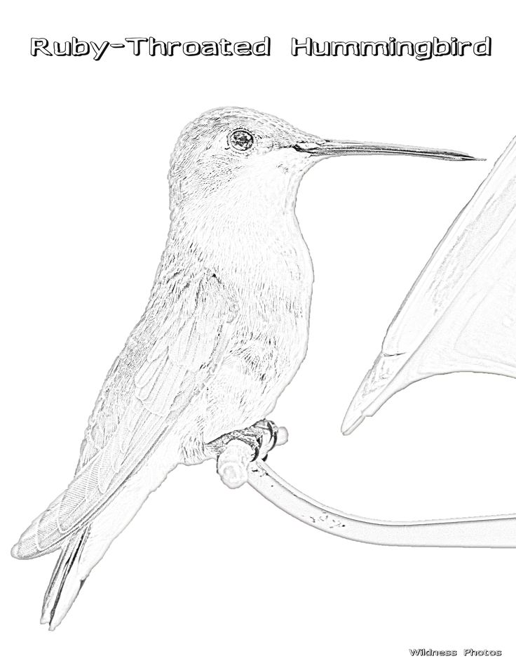 736x952 17 Best Coloring Pages Images On Coloring Books