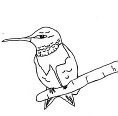 236x232 Hummingbirds For Kids. Fun Facts And Activities Ruby Throated