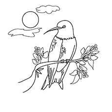 230x230 Top 10 Hummingbird Coloring Pages For Your Toddler