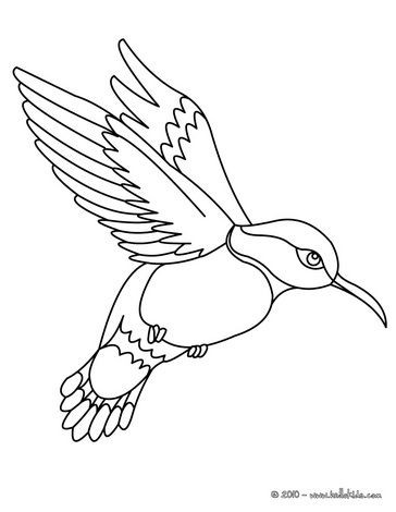 364x470 Birds Ruby Throated Hummingbird Bird Coloring Page