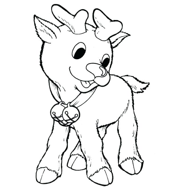 600x667 Little The Red Nosed Reindeer Coloring Page Color Free Rudolph