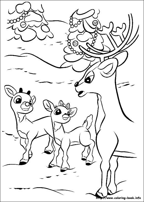 567x794 65 Best Rudolph The Red Nosed Reindeer Images