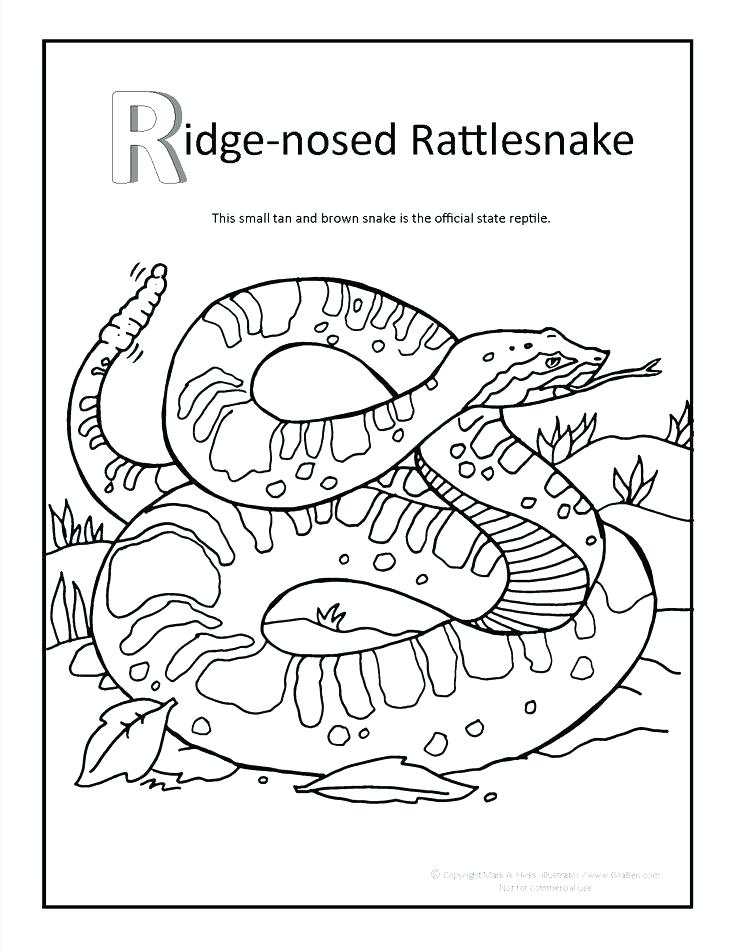 736x952 Amazing Navajo Coloring Pages Southwestern Native Coloring Page