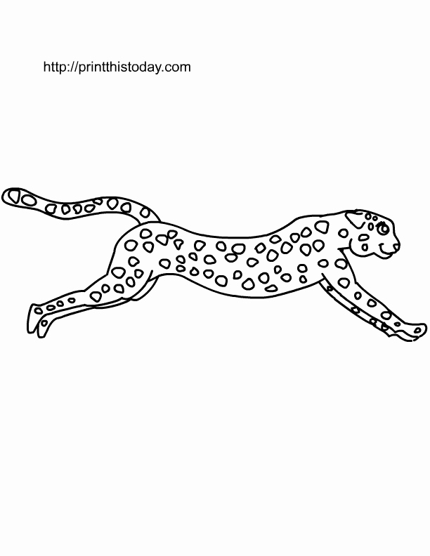612x792 Running Cheetah Coloring Pages Baby Cheetah Coloring Pages