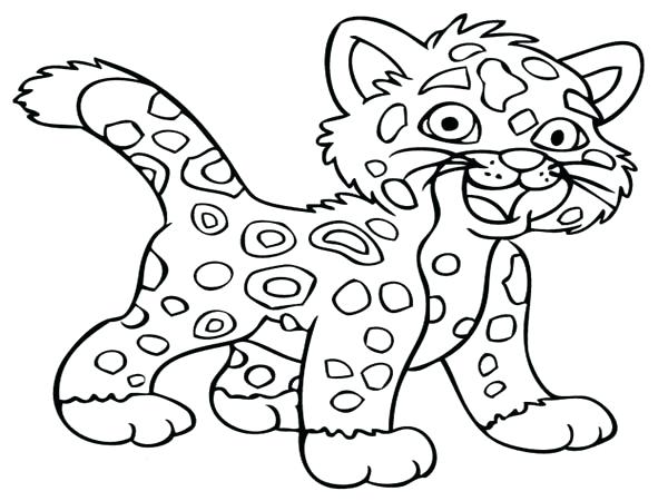 600x450 Cheetah Coloring Page Little Baby Cheetah Coloring Page Baby
