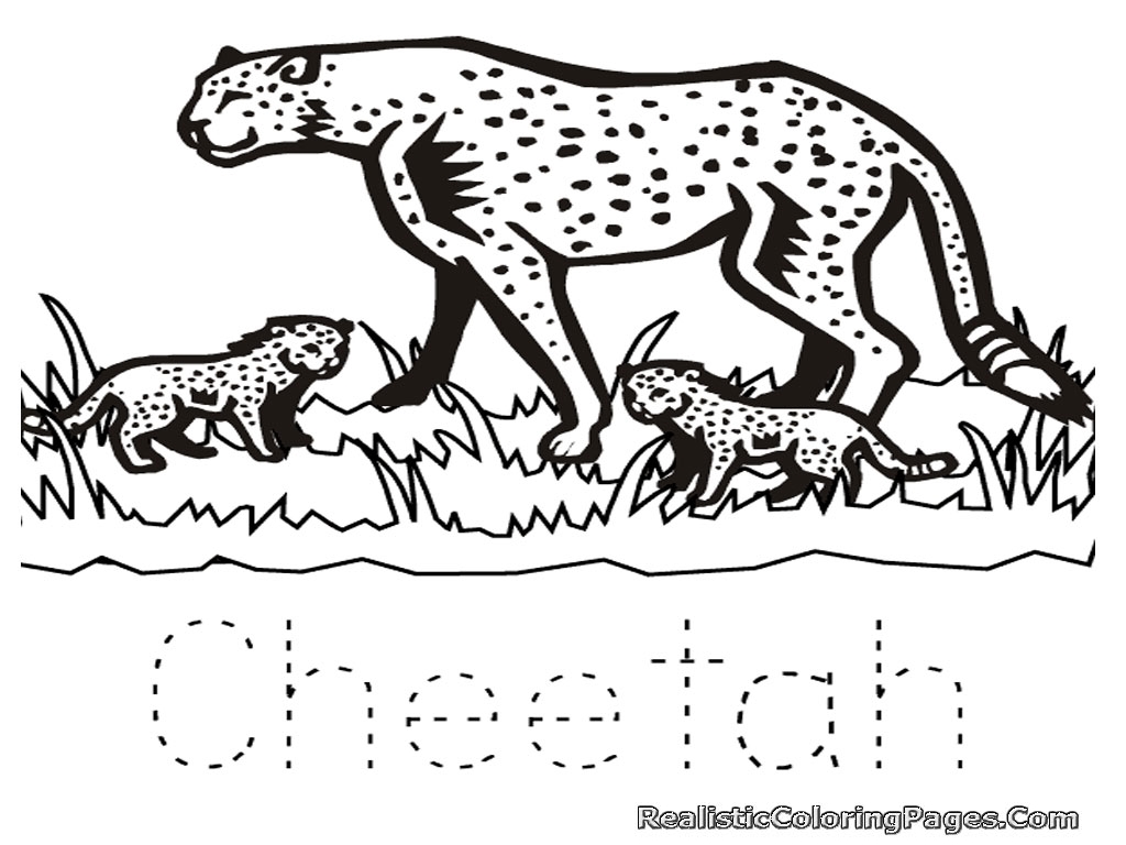 1024x768 Cheetah Coloring Page With Running 24799 Beautiful Pages