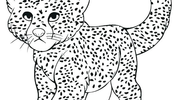 585x329 Cheetah Coloring Pages Cheetah Coloring Page Cute Cheetah Coloring