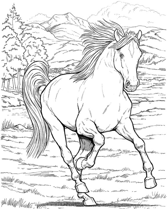 579x720 Running Horse Photo This Photo Was Uploaded By Tharens. Find
