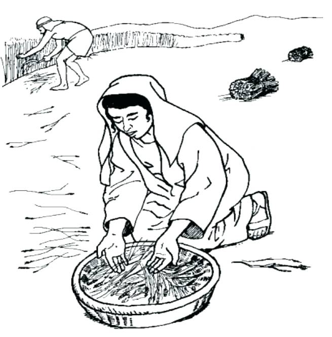 655x664 Ruth And Naomi Coloring Pages Ng Sheet And Ng Page On The Best