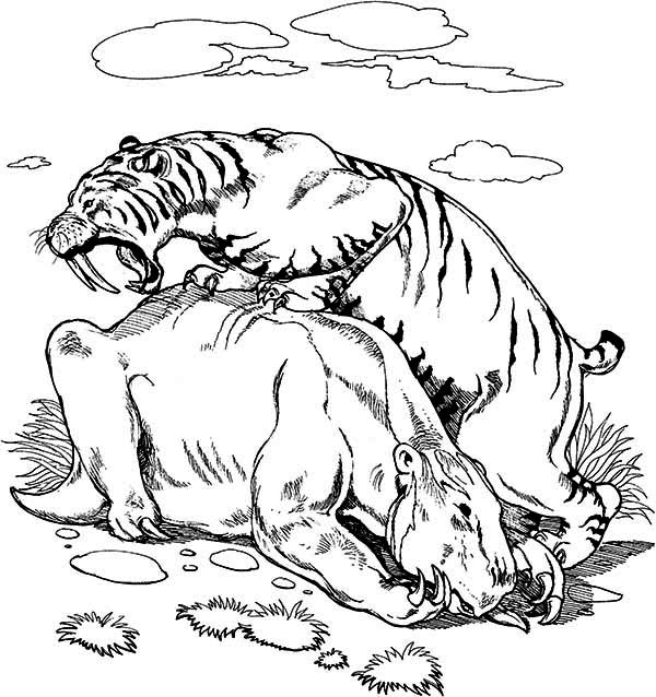 Saber Tooth Tiger Coloring Page