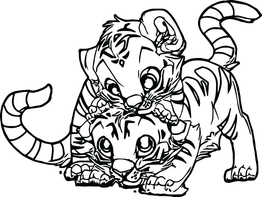 878x660 Saber Tooth Tiger Coloring Pages Free 9 Illustrator Download Baby