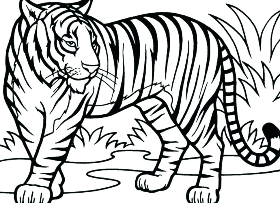 970x702 Sabre Tooth Tiger Coloring Page Free Saber Tooth Tiger Coloring