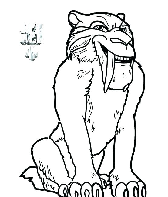 554x650 Coloring Page Tiger Impair.co