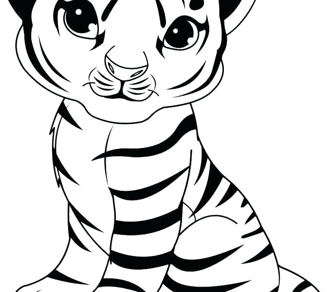 678x600 Saber Tooth Tiger Coloring Pages