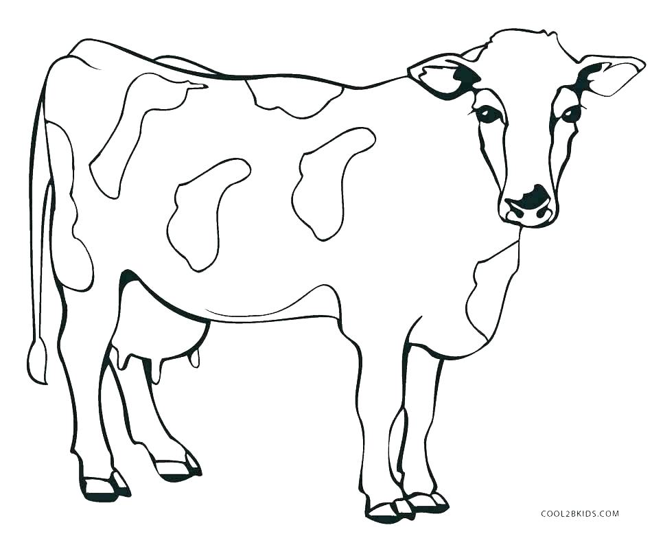 950x778 Sacagawea Coloring Pages Coloring Page Cow Printable Coloring