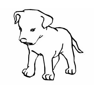 300x300 Sad Puppy Coloring Page