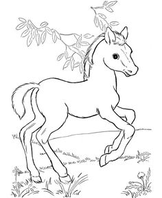236x288 Horse