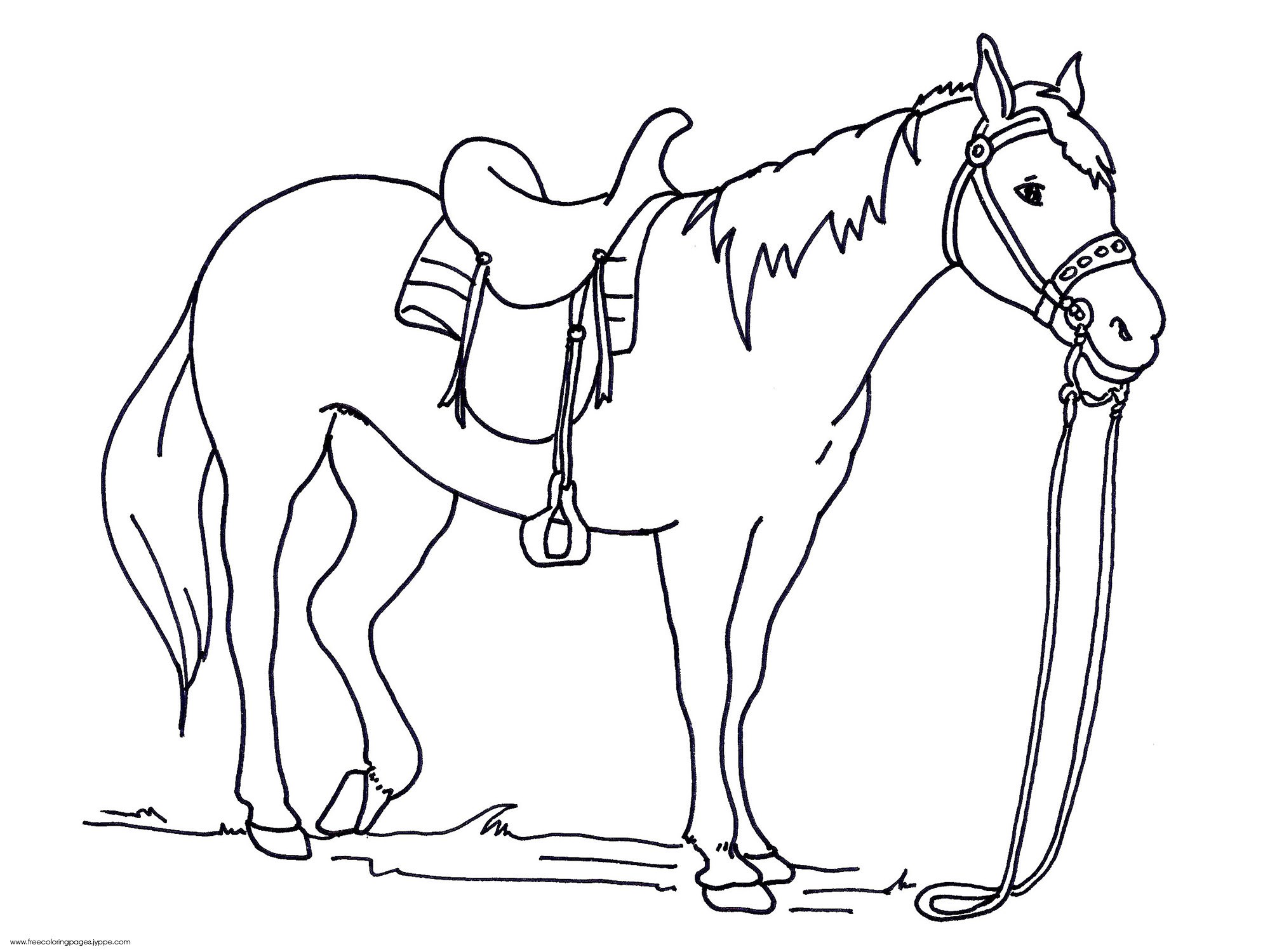 2000x1500 Horse And Saddle Coloring Pages