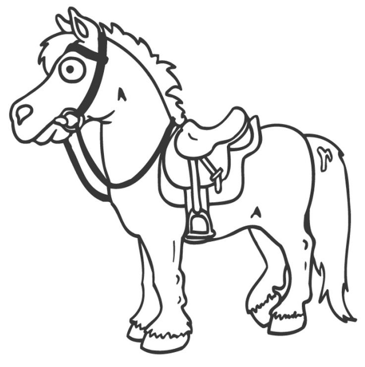737x740 Horse With Saddle Horses Saddles