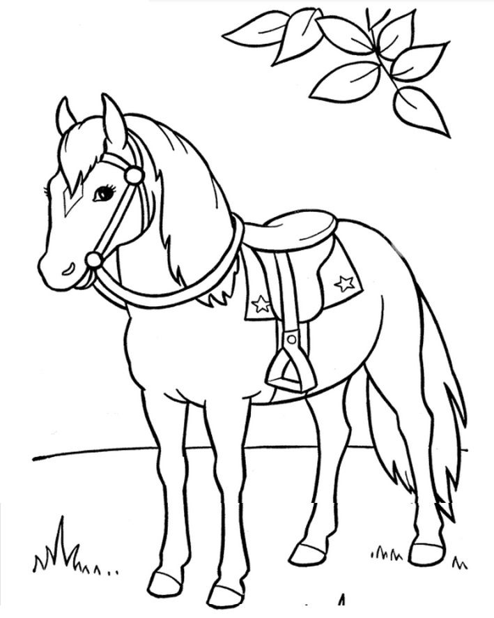 709x886 Horse Saddle Horses Horse Saddles, Crafts