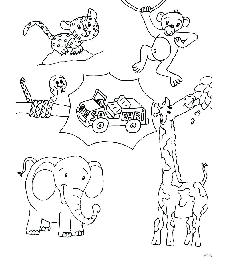 794x900 Printable Animals Coloring Pages Forest Animals Coloring Pages