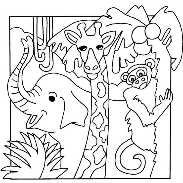 736x737 Safari Animals Coloring Pages