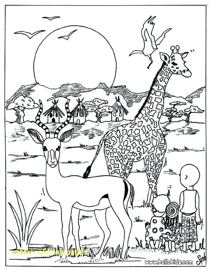 700x900 Fancy Safari Animals Coloring Pages 96 For Coloring Site