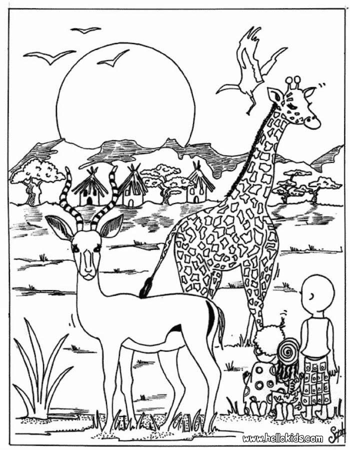 Safari Coloring Pages