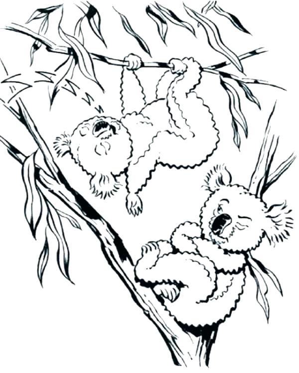 600x750 Jeep Coloring Page Jeep Coloring Safari Jeep Colouring Pages Jeep