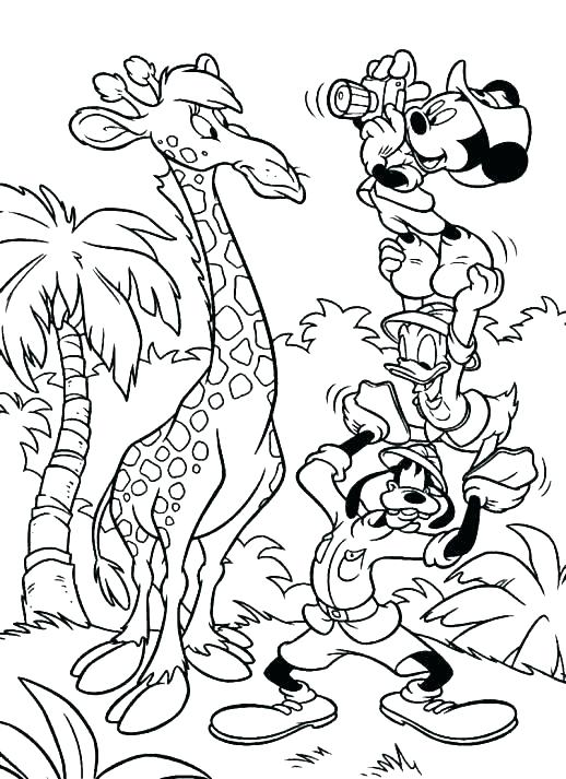 518x713 Safari Coloring Pages S S Safari Jeep Colouring Pages