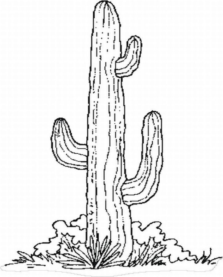 Saguaro Cactus Coloring Page