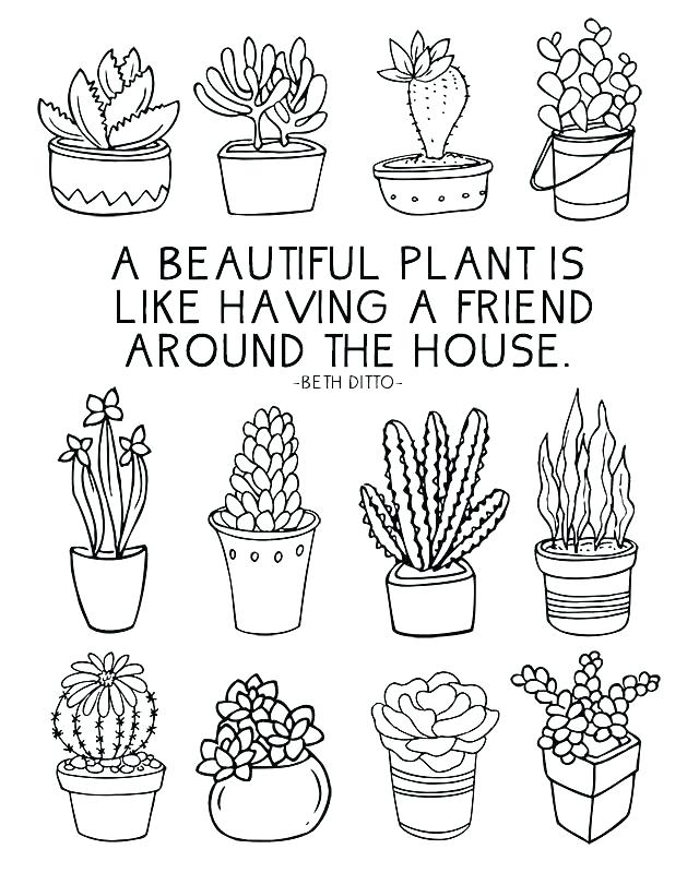 640x800 Cactus Coloring Pages Cactus Coloring Pages Cactus Coloring Page