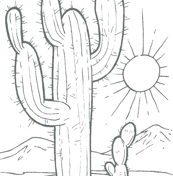 589x600 Cactus Coloring Pages Saguaro Cactus Coloring Page Cactus Coloring