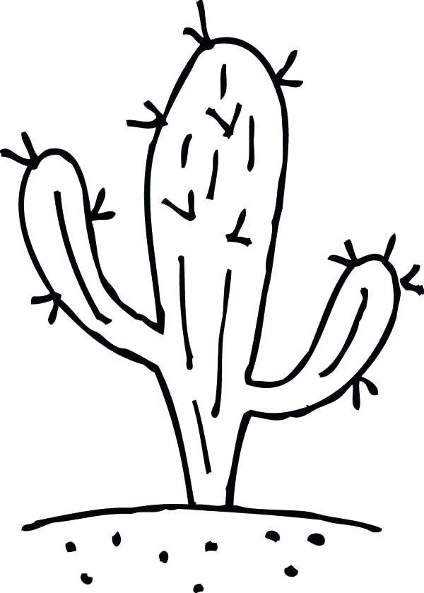 600x839 Cactus Coloring Saguaro Cactus Coloring Page Cactus How To Draw