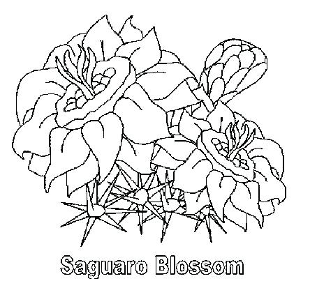 454x436 Desert Coloring Pages Free Coloring Saguaro Cactus Printable