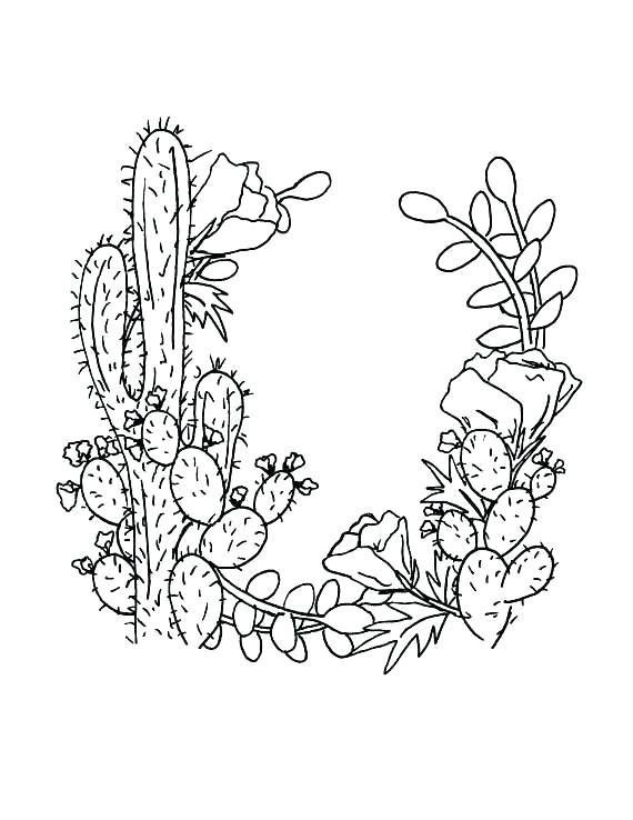 570x738 Saguaro Cactus Blossom Coloring Page With Wallpapers Dual Monitor