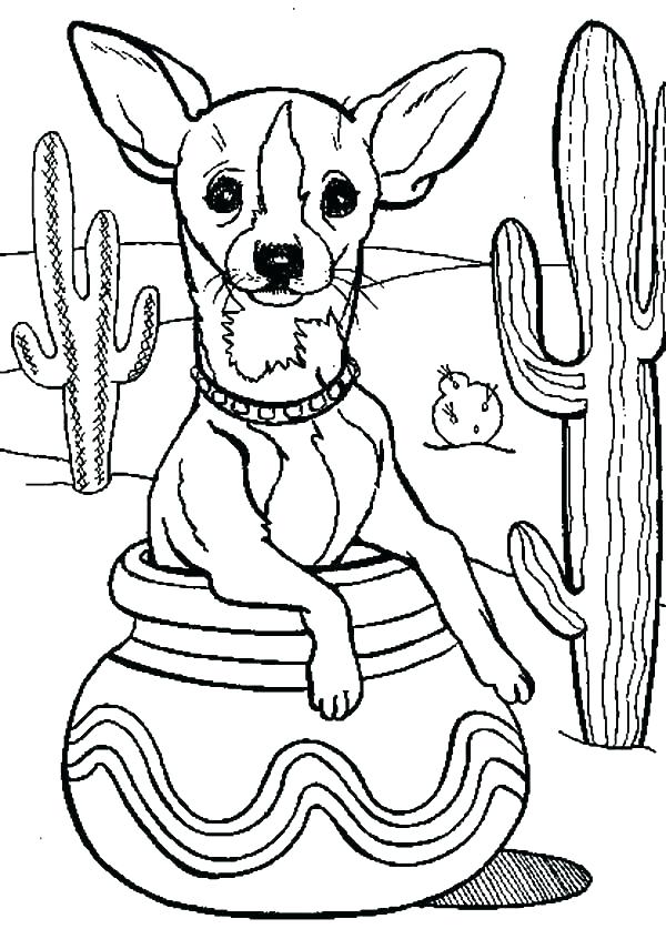 600x837 Saguaro Cactus Coloring Sheet Printable Coloring Saguaro Cactus