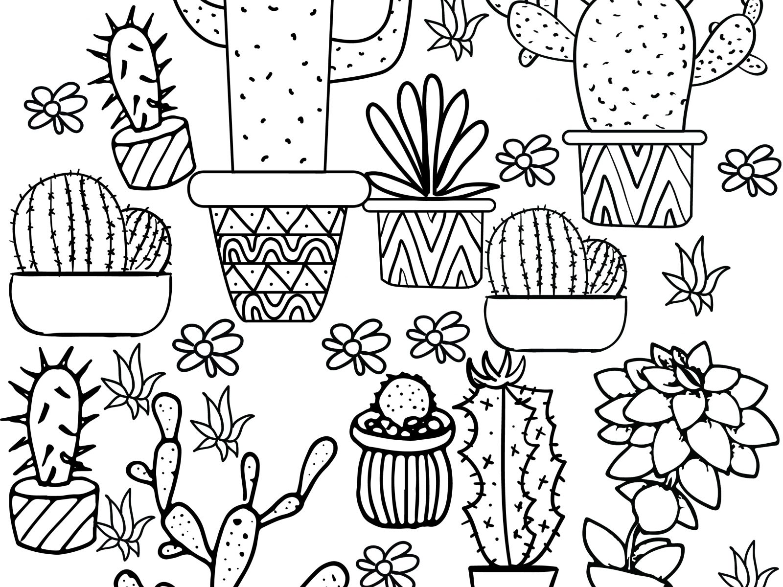 1600x1200 Simple Coloring Pages Cactus Printable Color By Number Free