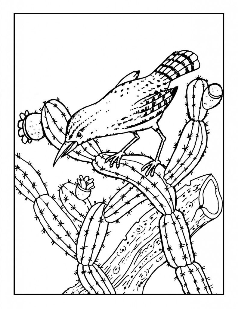 791x1024 Cactus Coloring Page Free Printable Pages For Kids Cacti Images