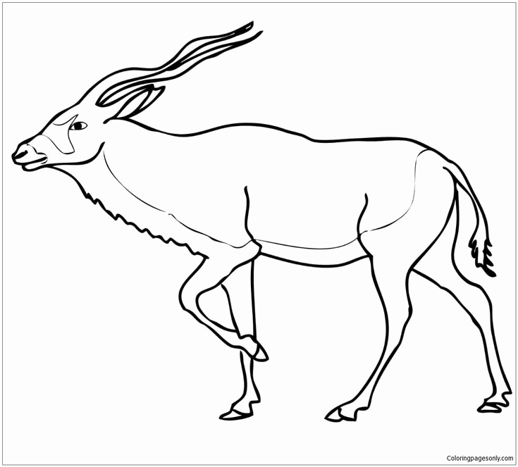 Sahara Desert Coloring Pages