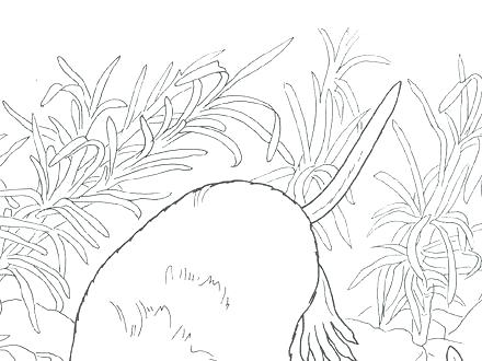 440x330 Desert Coloring Pages Top Rated Desert Coloring Pages Images