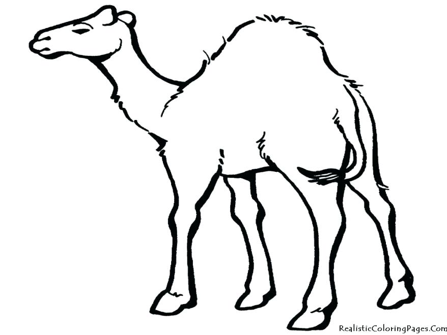 878x659 Desert Deserts Coloring Pages Sahara Murs
