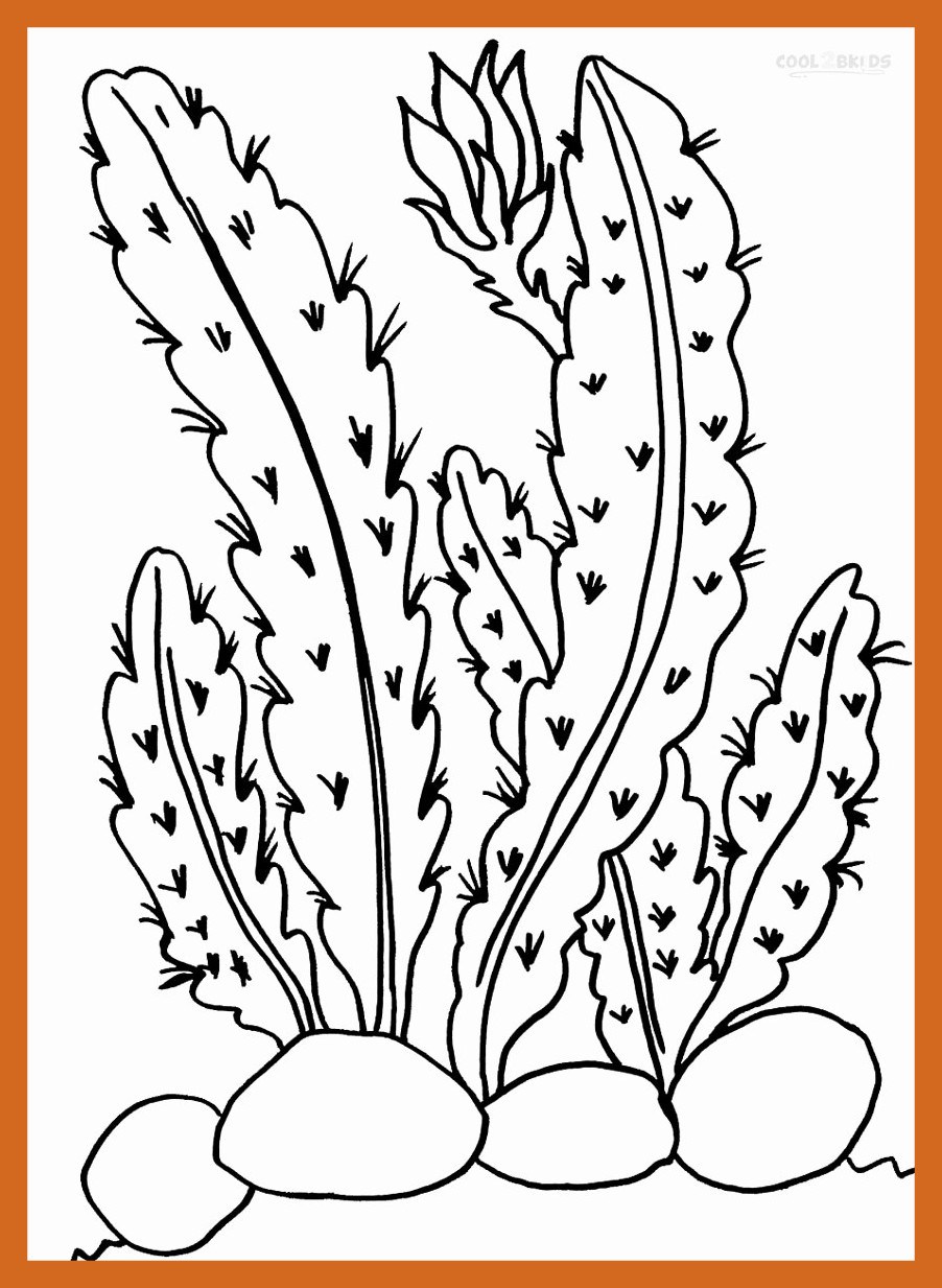 902x1233 Inspiring Amazing Desert Plants Coloring Pages Contemporary