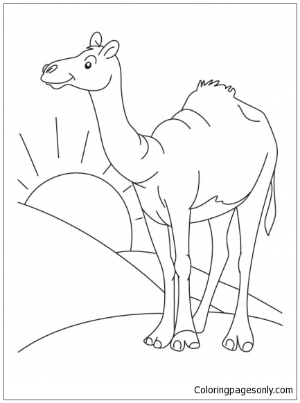 433x582 Sahara Desert Coloring Page
