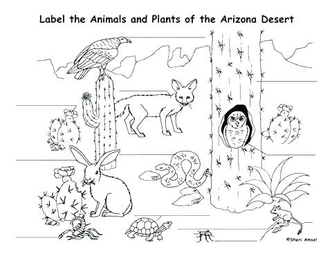 480x370 Sahara Desert Coloring Pages View Larger Coloring Book Games