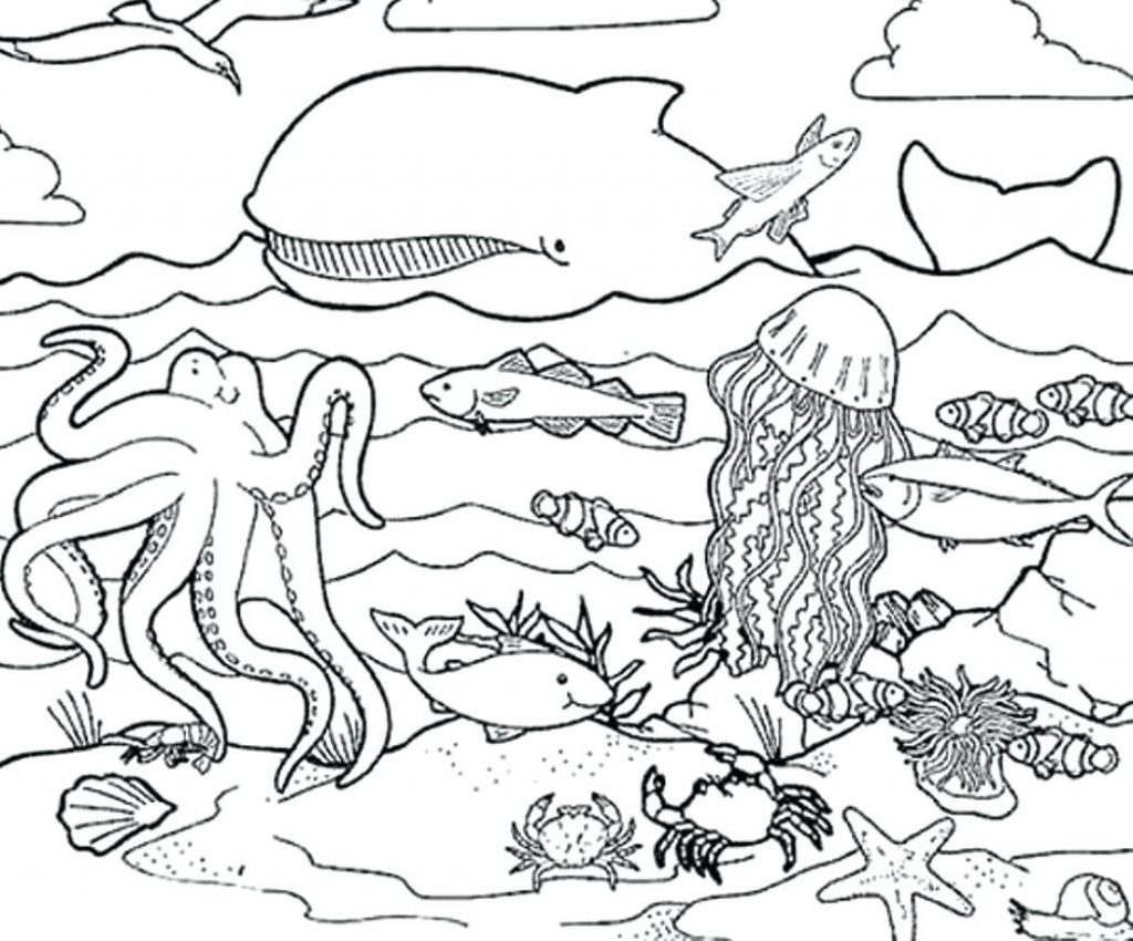 1024x850 Coloring Pages ~ Desert Coloring Pages Animal Habitat Free Sahara