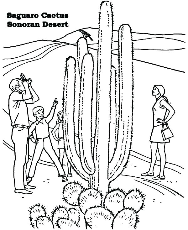 600x734 Sahara Desert Coloring Pages