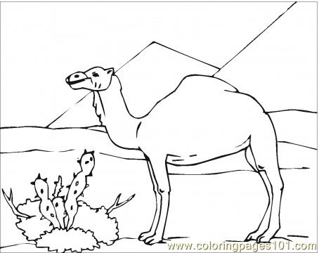 454x360 Coloring Sahara Desert Coloring Pages