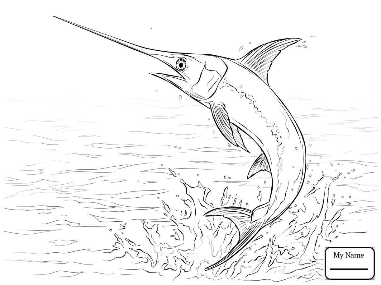 1223x917 Sailfish Coloring Pages Collection Coloring For Kids 2018