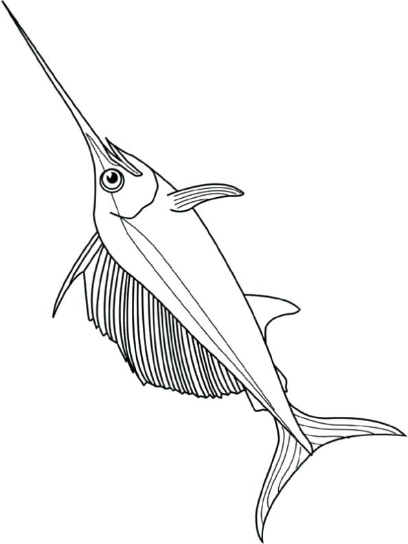 594x792 Swordfish Coloring Page Sailfish Is A Swordfish Coloring Page Best